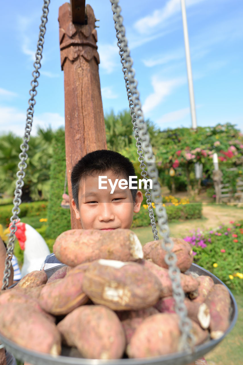 Close-up of sweet potatoes on weight scale against boy