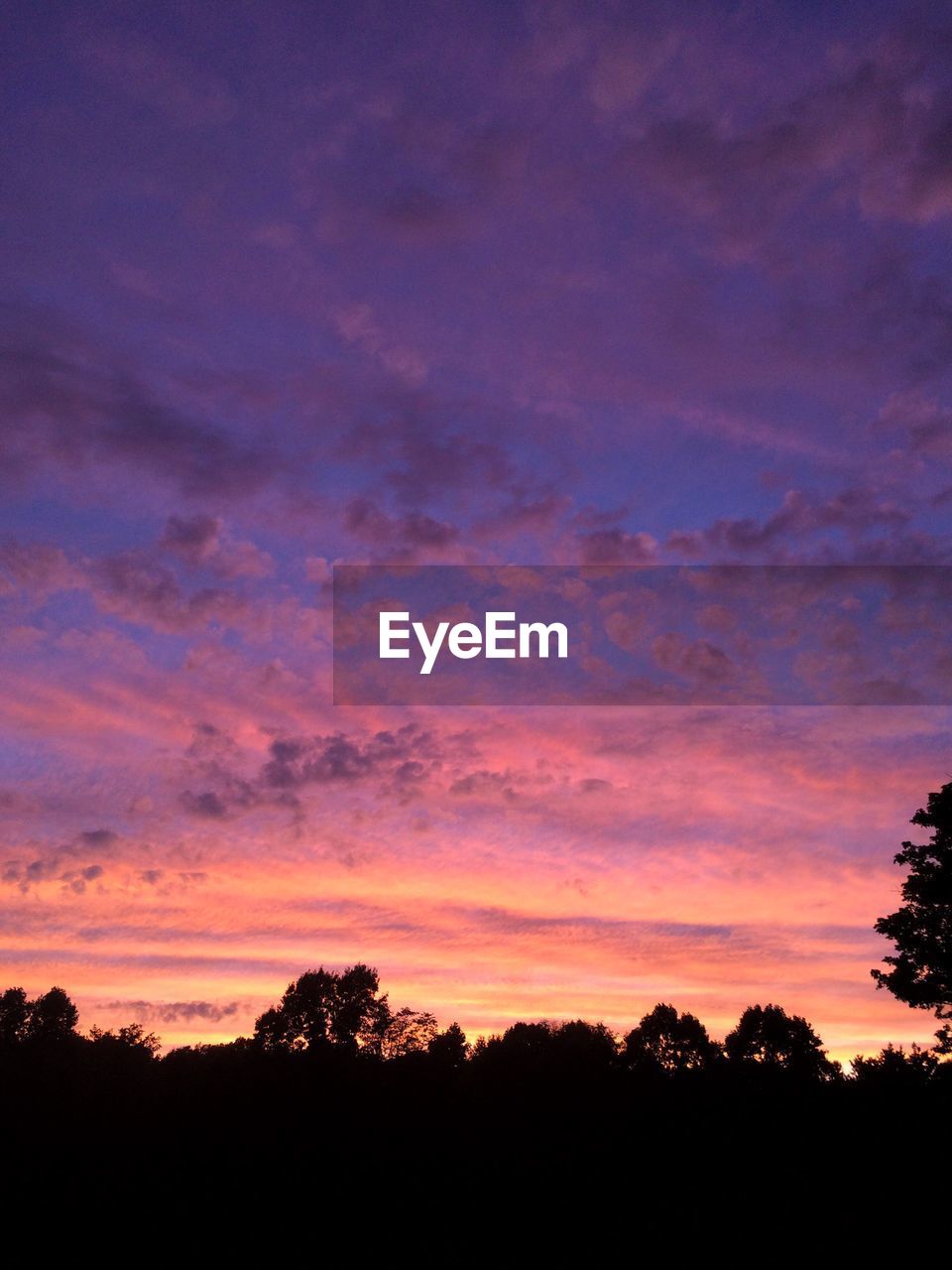 SILHOUETTE TREES AGAINST SKY AT DUSK
