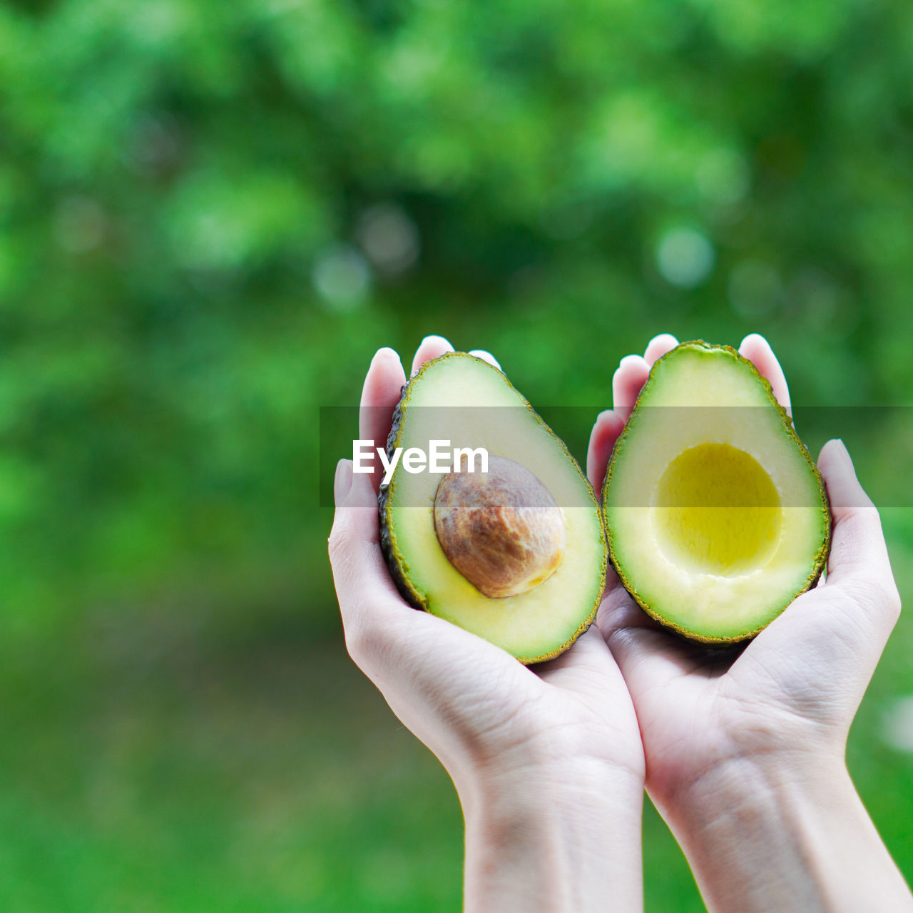 cropped hand holding kiwi fruit
