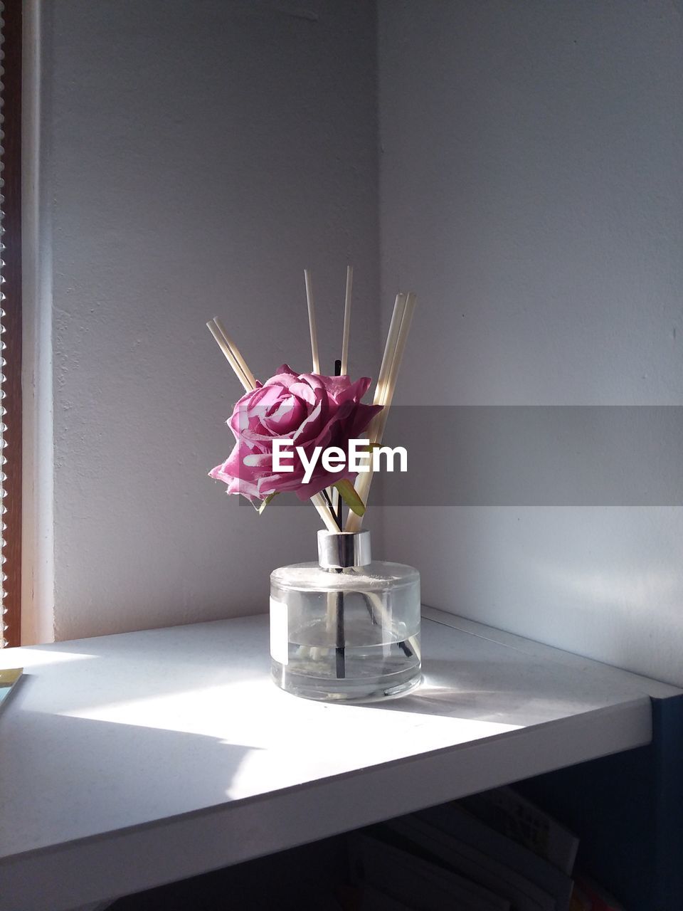 Pink flower in vase on table