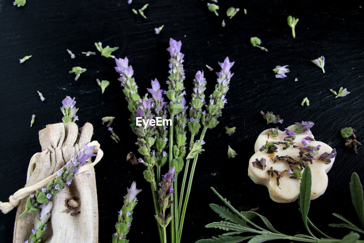 HIGH ANGLE VIEW OF FLOWERING PLANTS