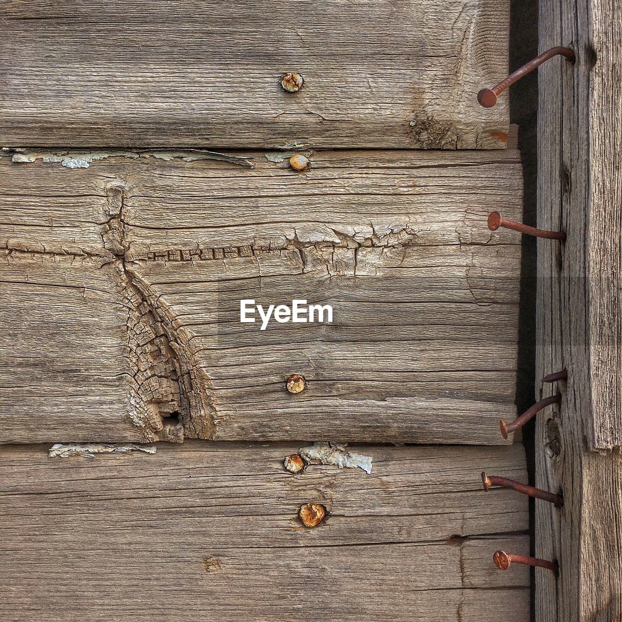 CLOSE-UP OF WOOD ON GROUND