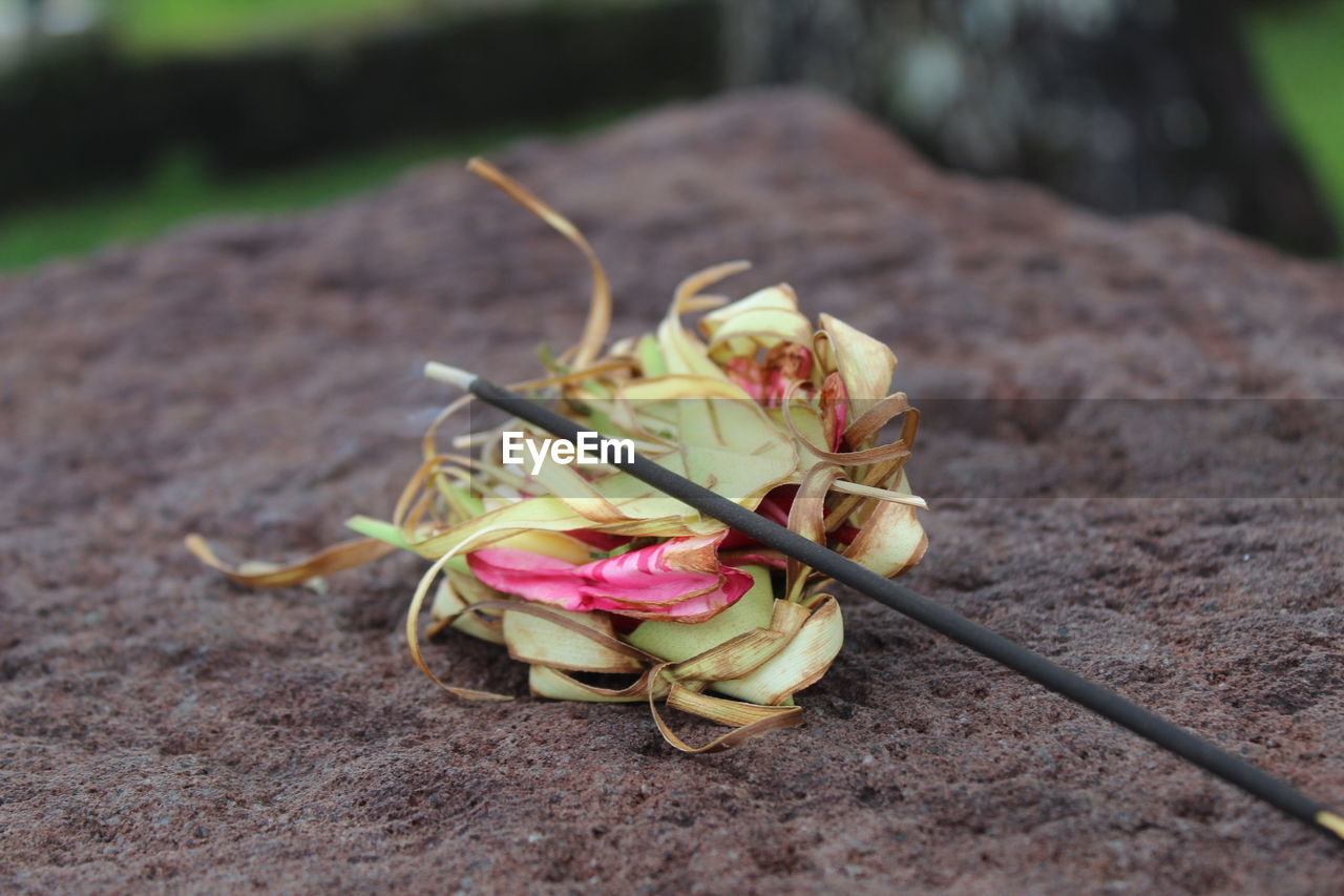 A flower offering to a god
