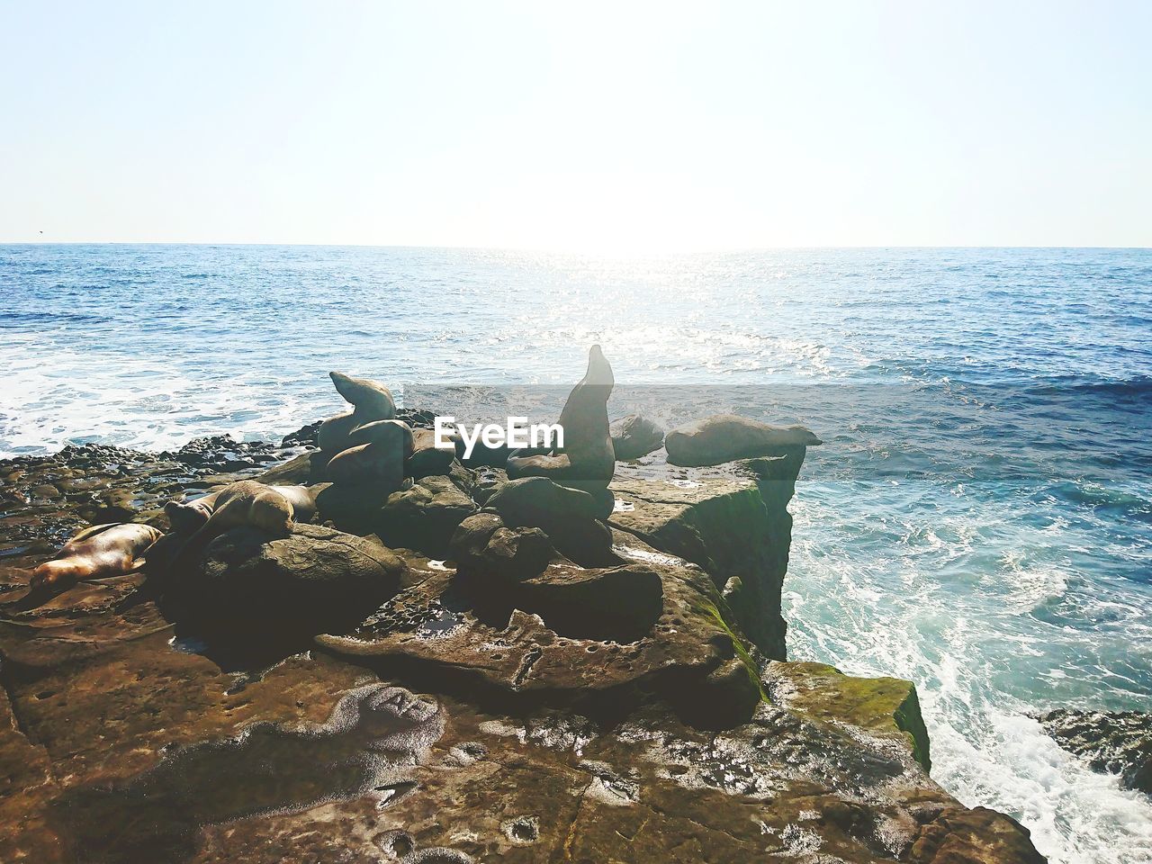 AERIAL VIEW OF ROCKS ON BEACH AGAINST SKY