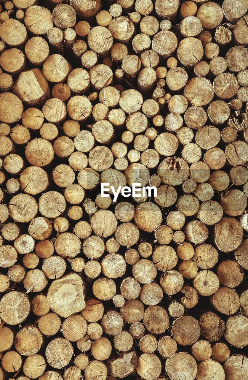 Full frame shot of logs in forest