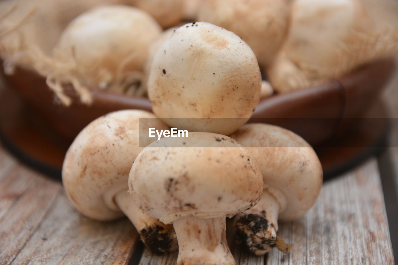 Close-up of mushrooms on table