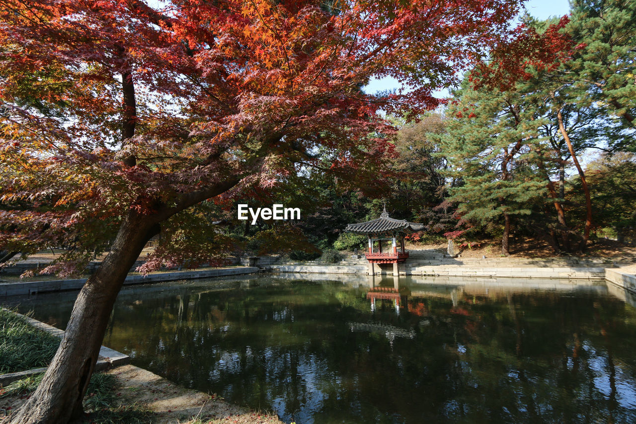PARK BY LAKE DURING AUTUMN