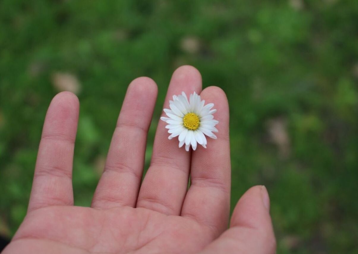 CLOSE-UP OF HANDS HOLDING FLOWER