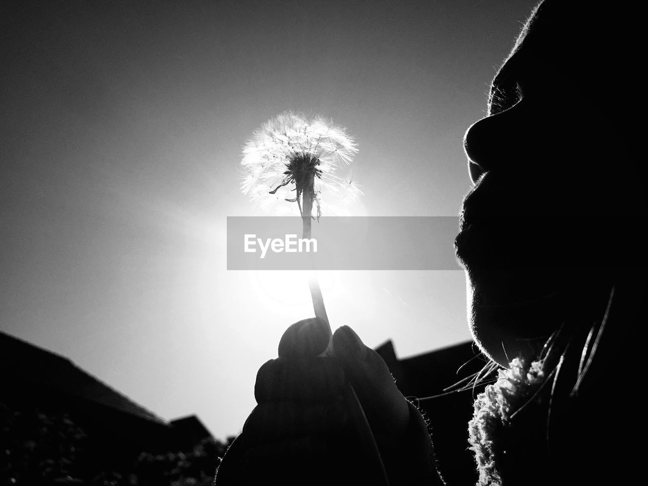 Low angle view of girl blowing dandelion against sky