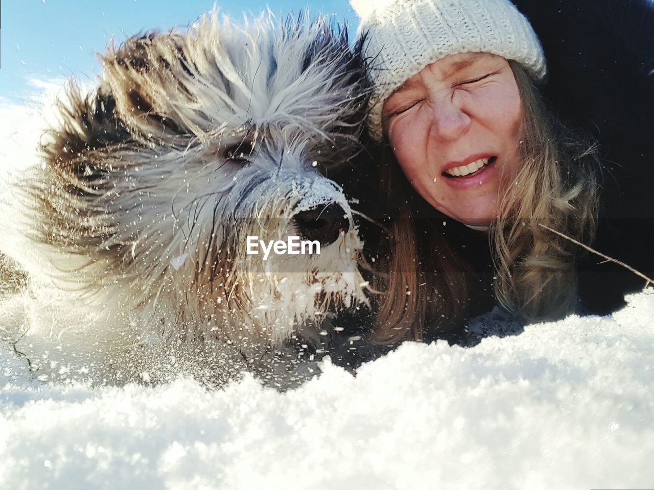 Woman playing with bearded collie in snow