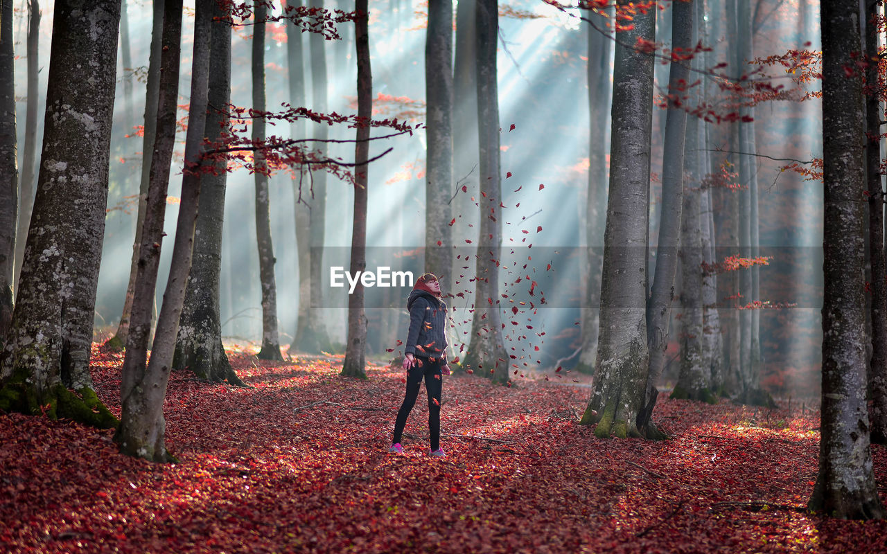 Woman standing in forest in autumn