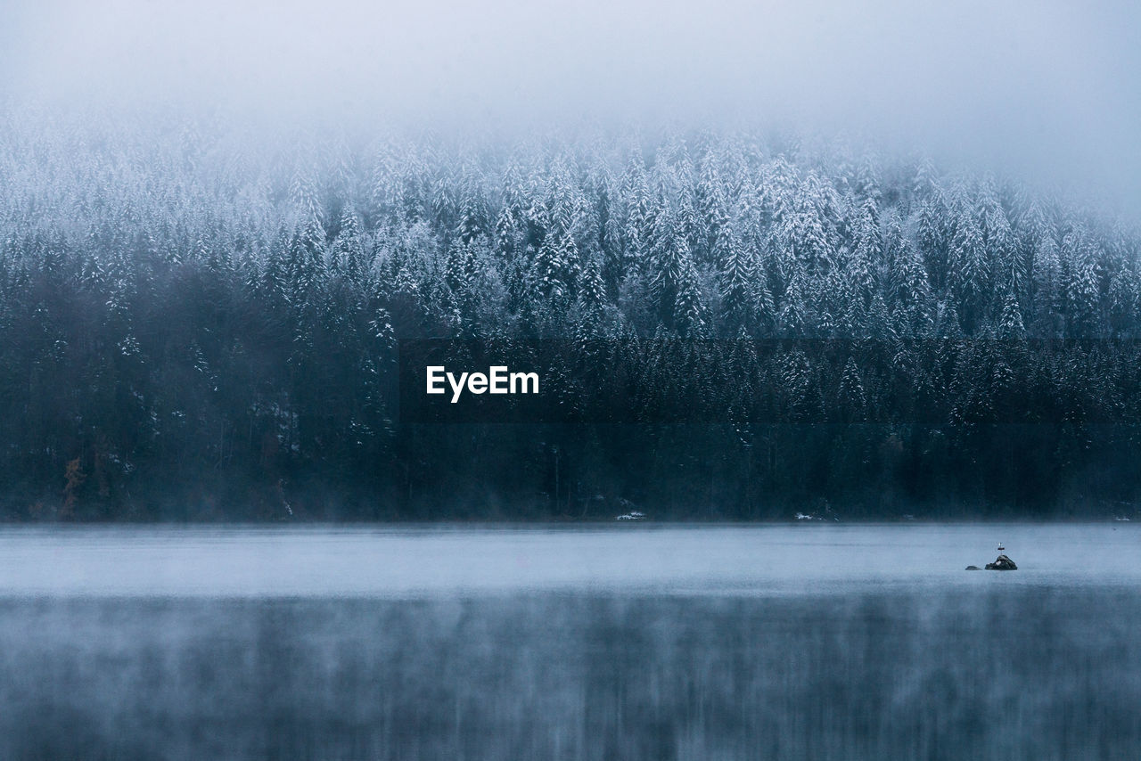 View of lake against frozen trees during winter