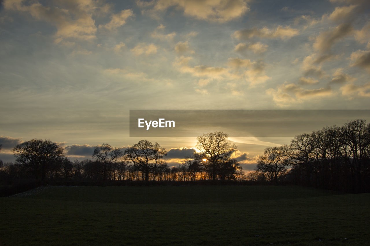 SILHOUETTE PLANTS ON FIELD AGAINST SKY DURING SUNSET