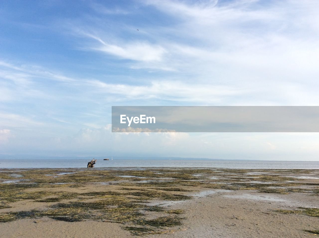 WOMAN STANDING ON BEACH AGAINST SKY