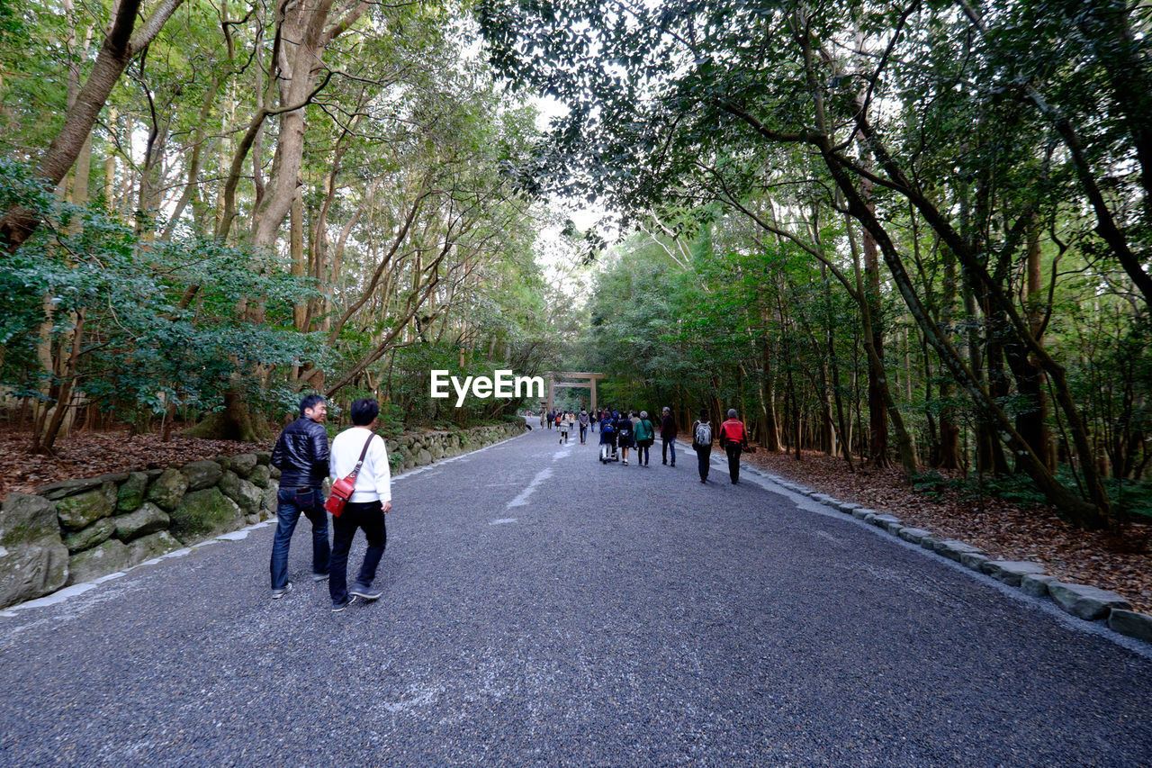 REAR VIEW OF MAN WALKING ON ROAD IN FOREST