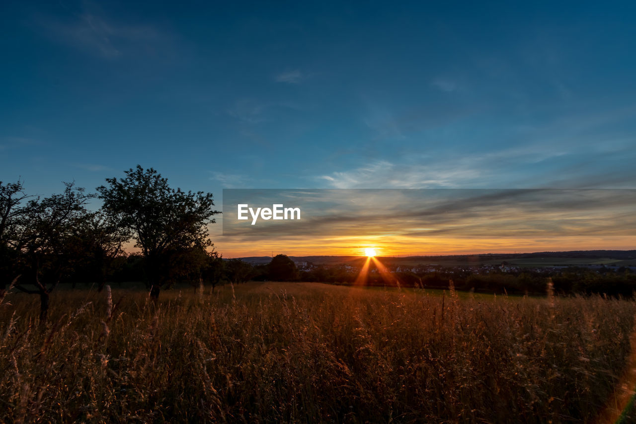 SCENIC VIEW OF AGRICULTURAL FIELD AGAINST SKY AT SUNSET