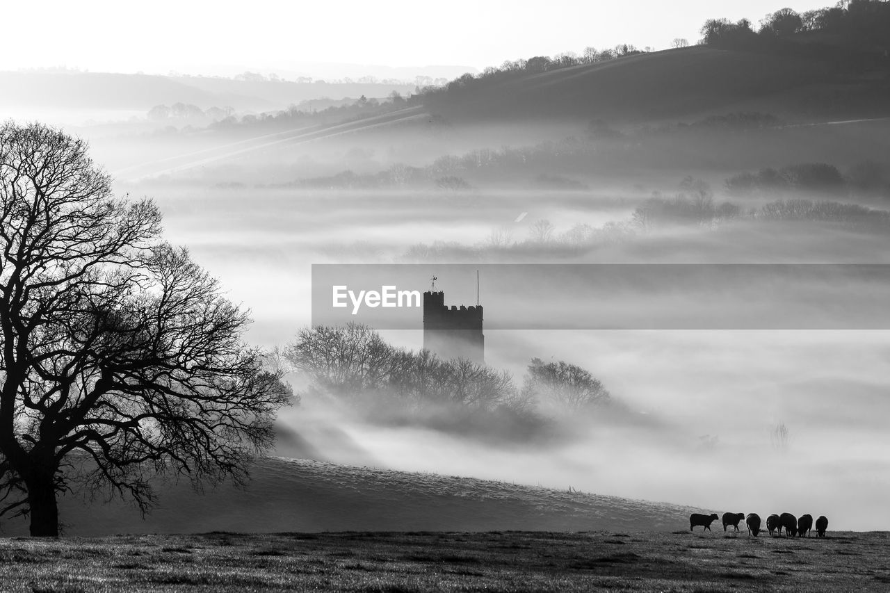 Castle in foggy weather
