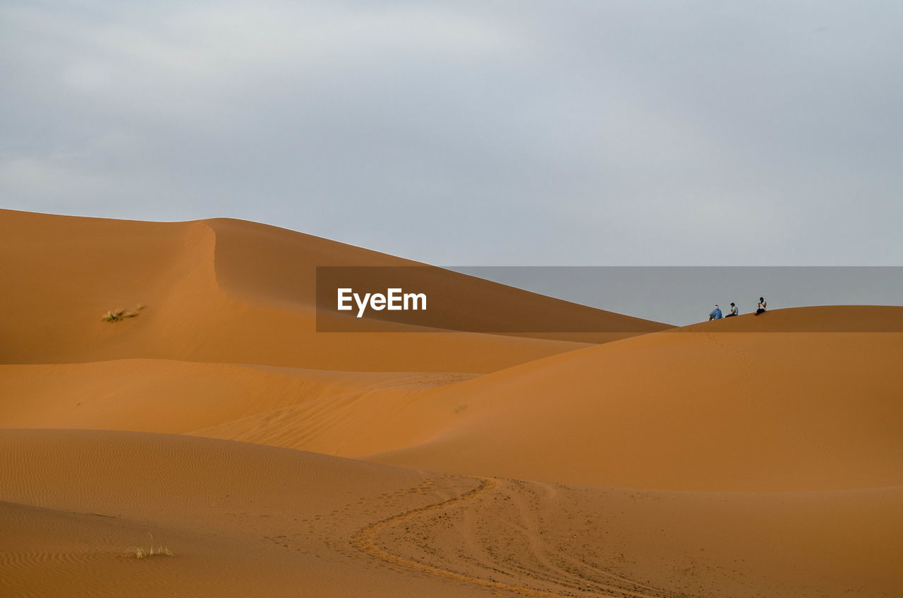 Tourists in a desert