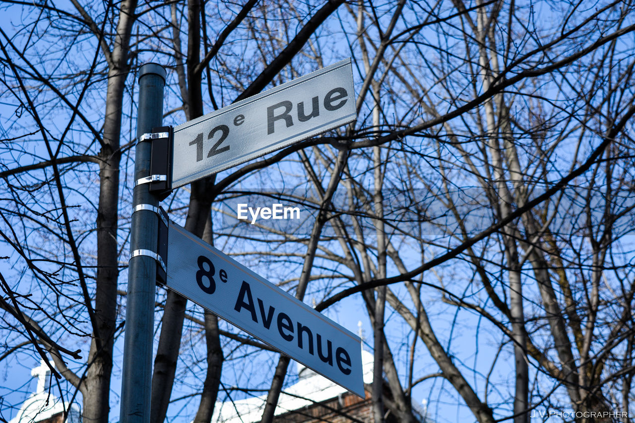 LOW ANGLE VIEW OF ROAD SIGN AGAINST TREES