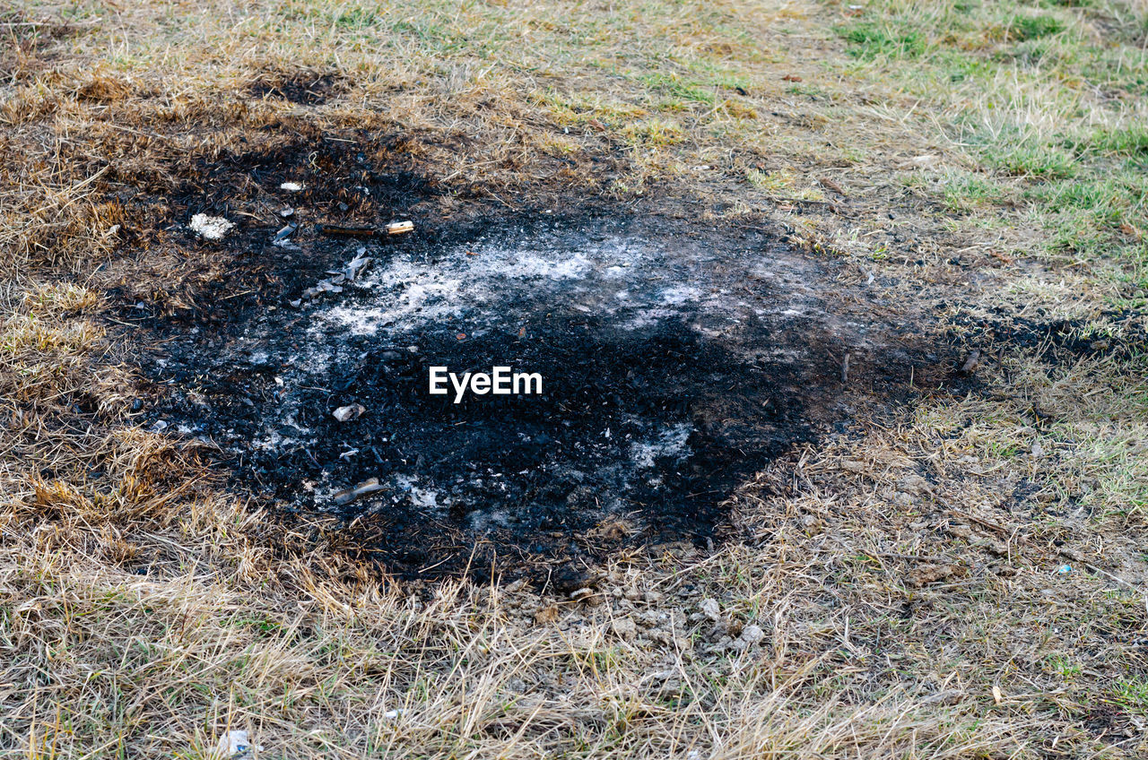 HIGH ANGLE VIEW OF A FIELD