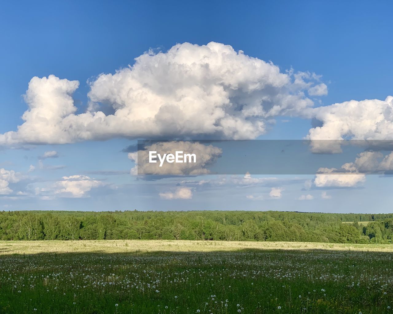 sky, plain, cloud, grassland, environment, field, horizon, landscape, plant, nature, prairie, land, blue, grass, meadow, beauty in nature, rural area, scenics - nature, no people, sunlight, day, steppe, natural environment, outdoors, hill, tranquility, rural scene, pasture, green, tranquil scene, horizon over land, growth, tree, cloudscape, flower, non-urban scene, summer, agriculture, idyllic, plateau