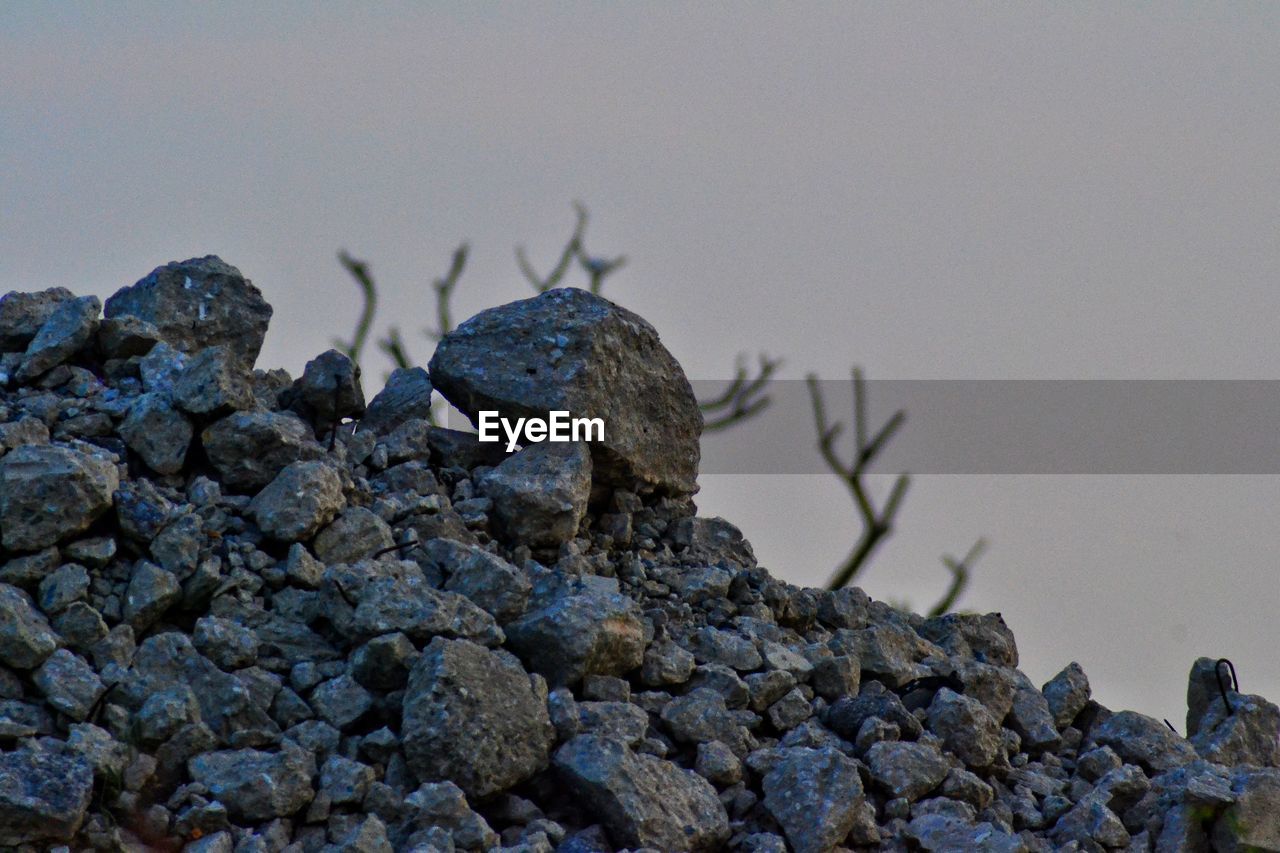 CLOSE-UP OF TURTLE ON ROCK AGAINST SKY