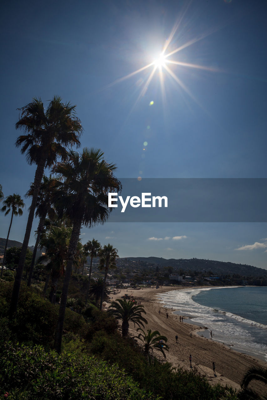 SUN SHINING THROUGH PALM TREES AT BEACH