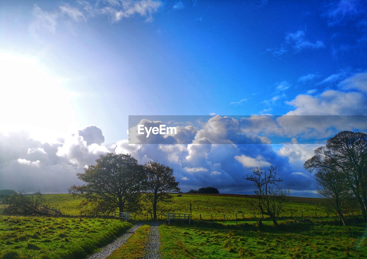 SCENIC VIEW OF LAND AGAINST SKY
