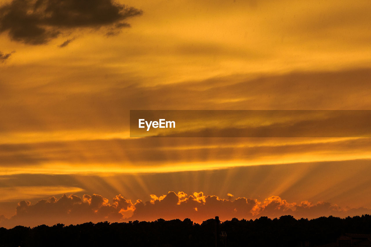 Silhouette trees against sky during sunset