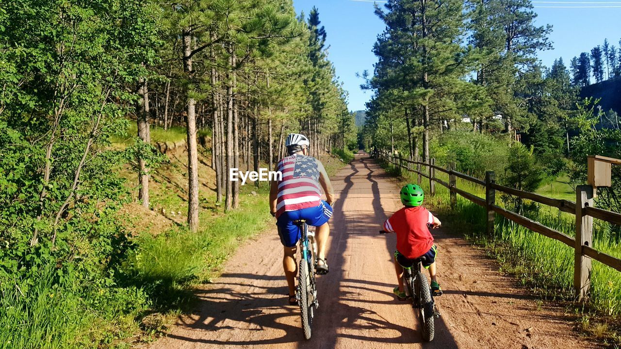 REAR VIEW OF WOMEN RIDING BICYCLE ON TREE