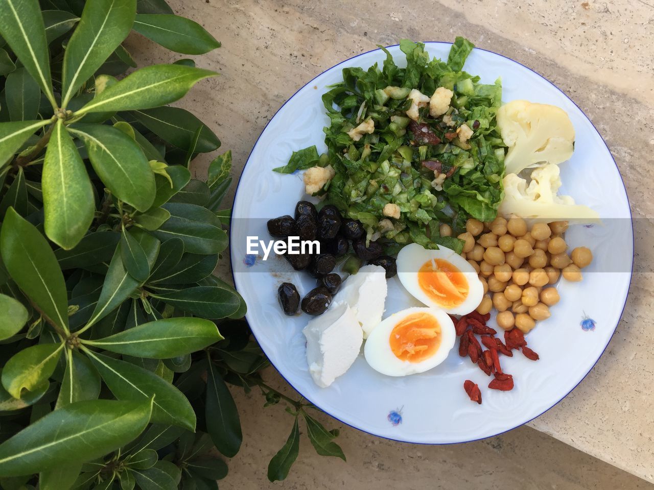 High angle view of food in plate