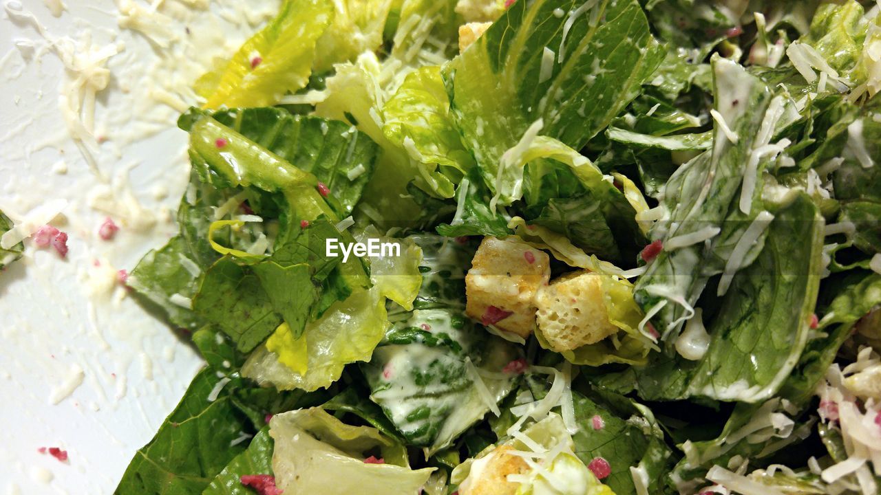 CLOSE-UP OF SALAD