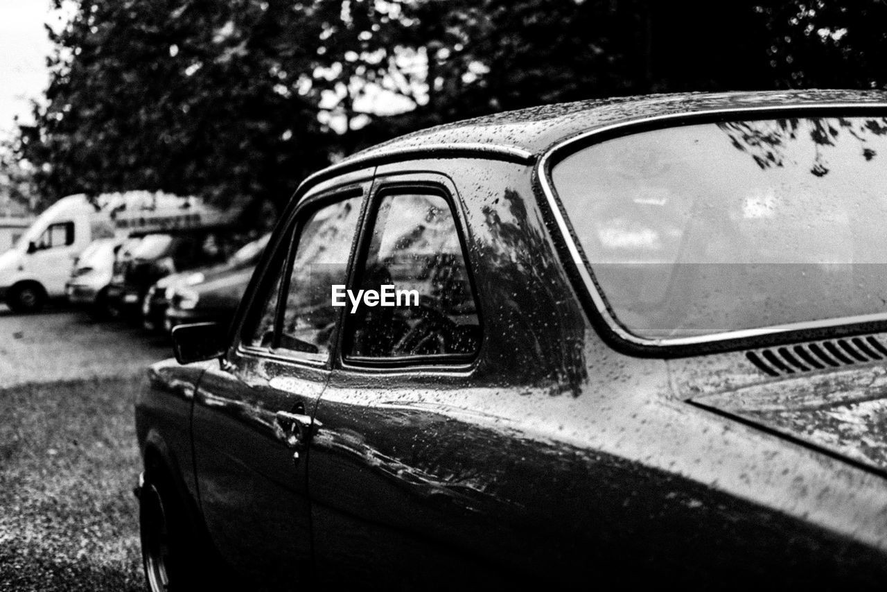 CLOSE-UP OF CAR AGAINST TREE