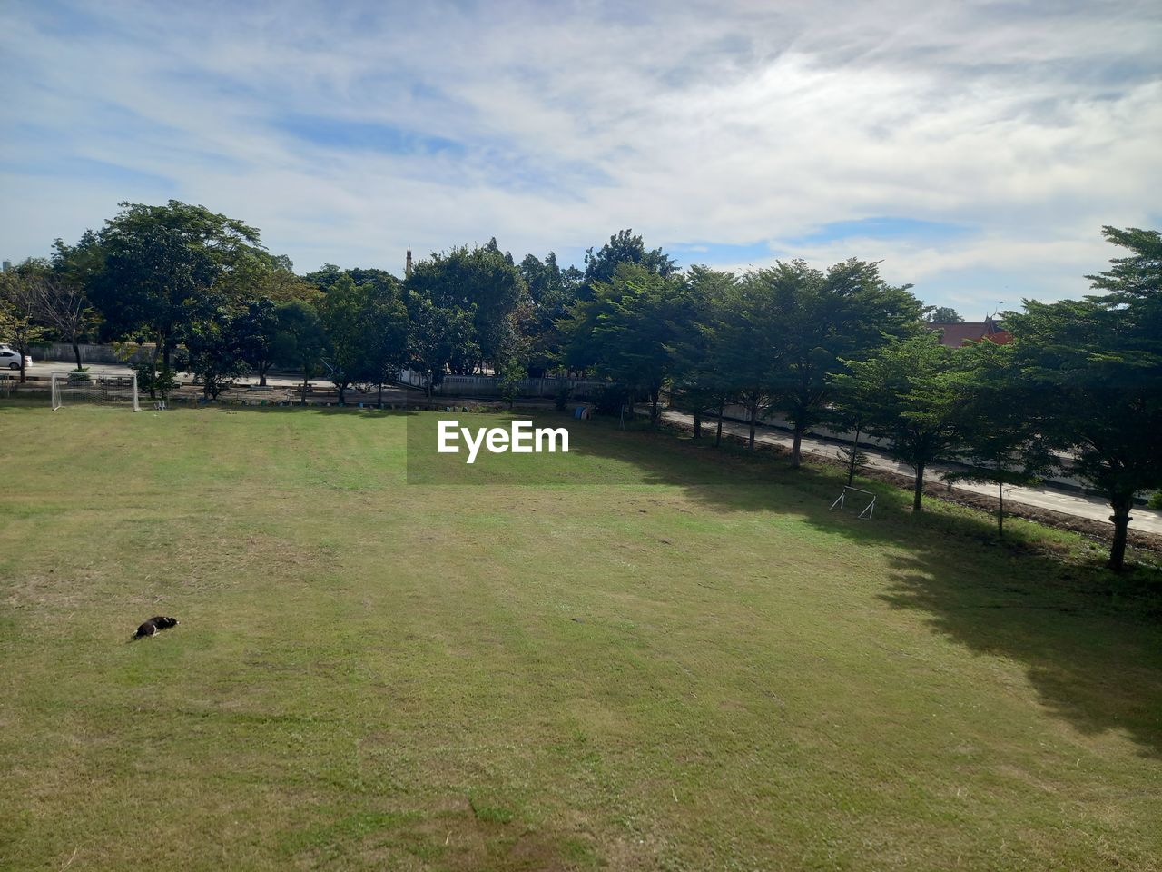 VIEW OF GRASSY LANDSCAPE