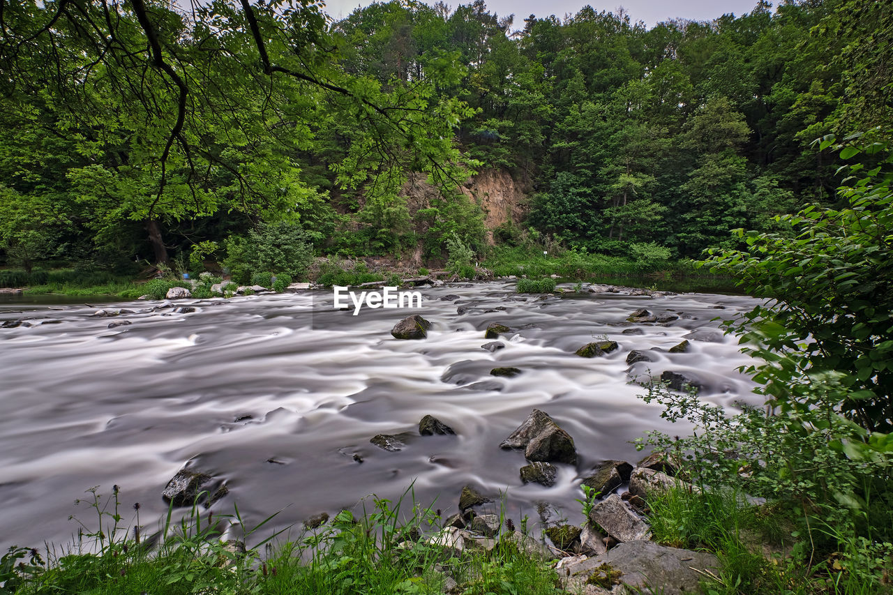 SCENIC VIEW OF RIVER FLOWING THROUGH FOREST