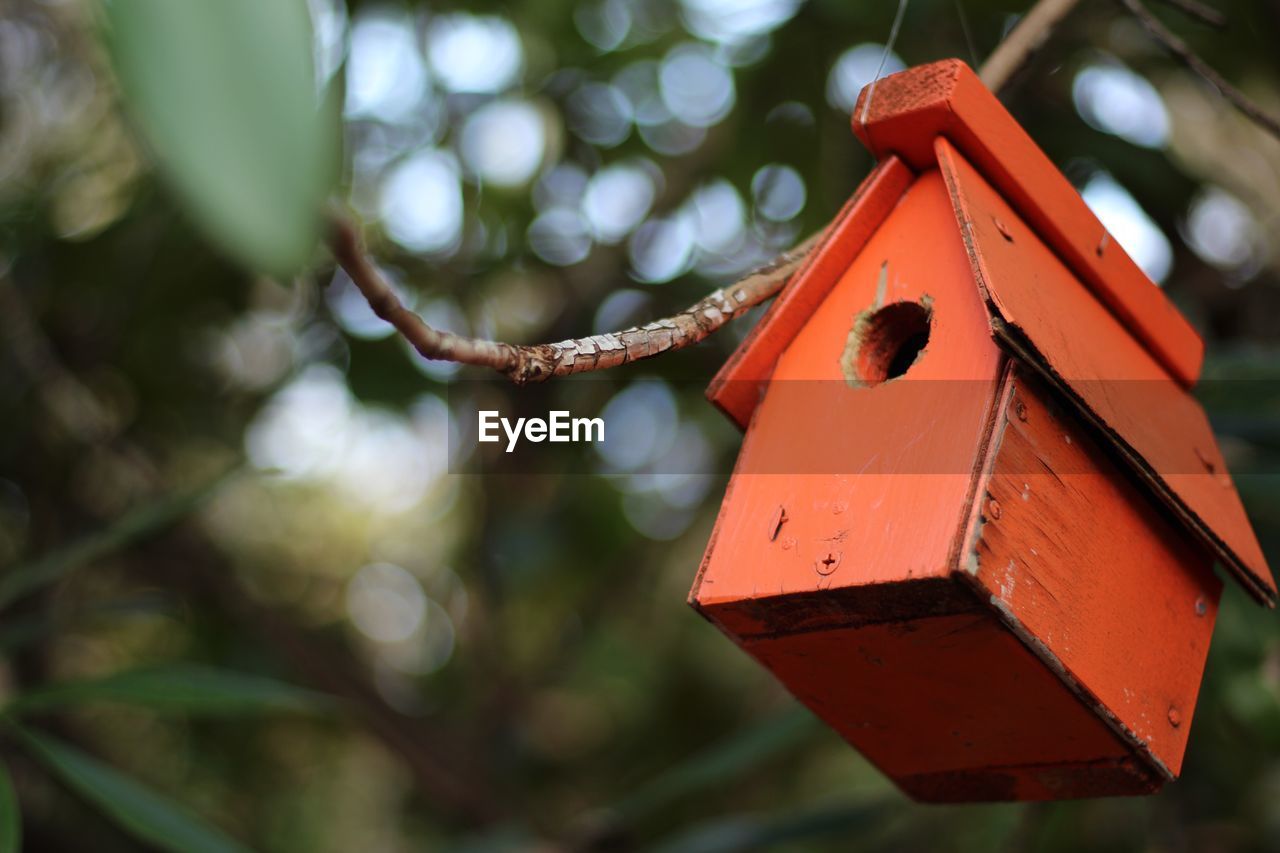 LOW ANGLE VIEW OF BIRDHOUSE HANGING ON METAL TREE