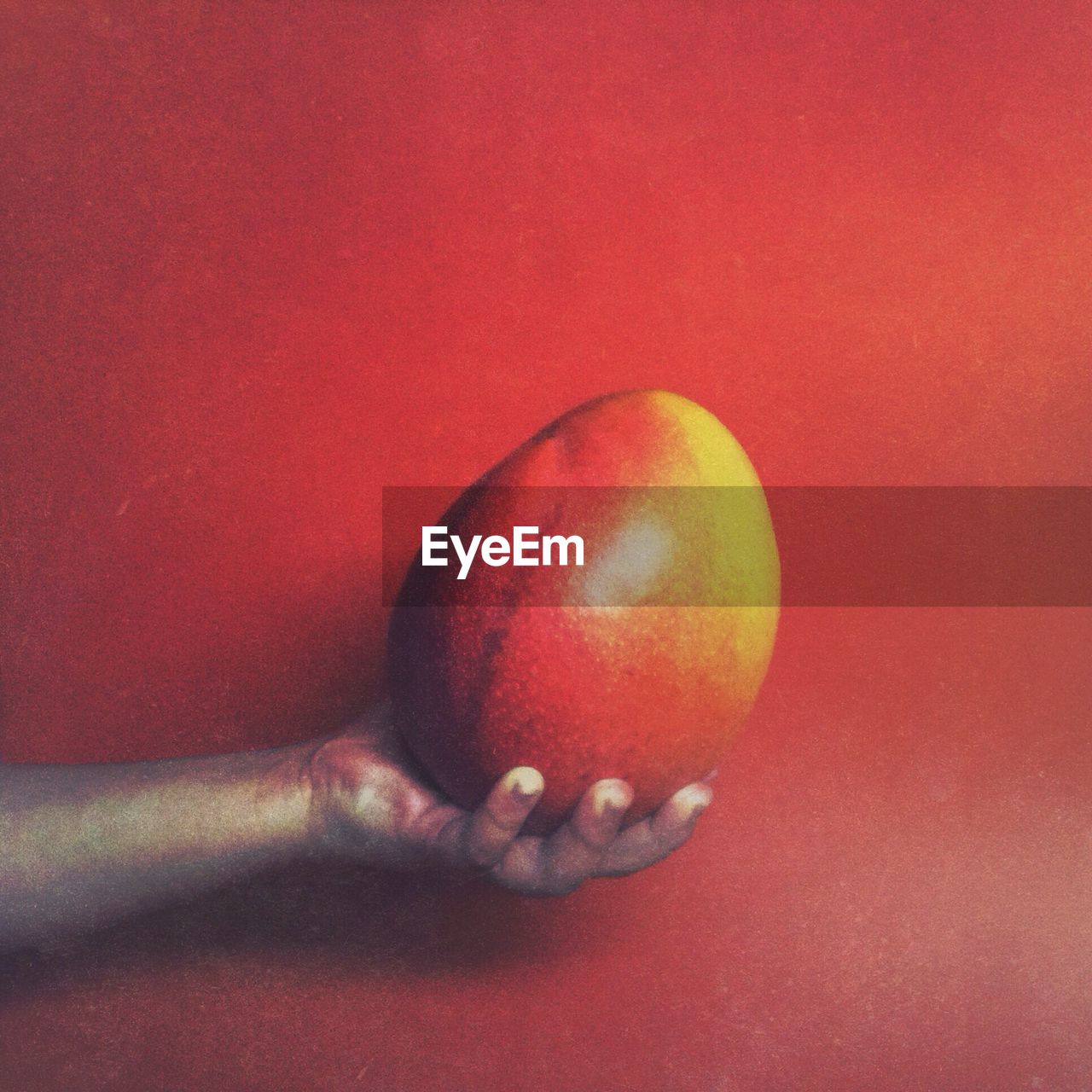Cropped image of hand holding mango against red wall