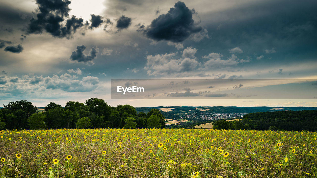 Scenic view of field against cloudy sky