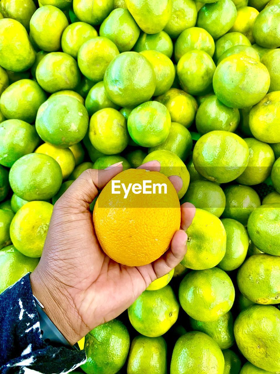 full frame shot of green apples