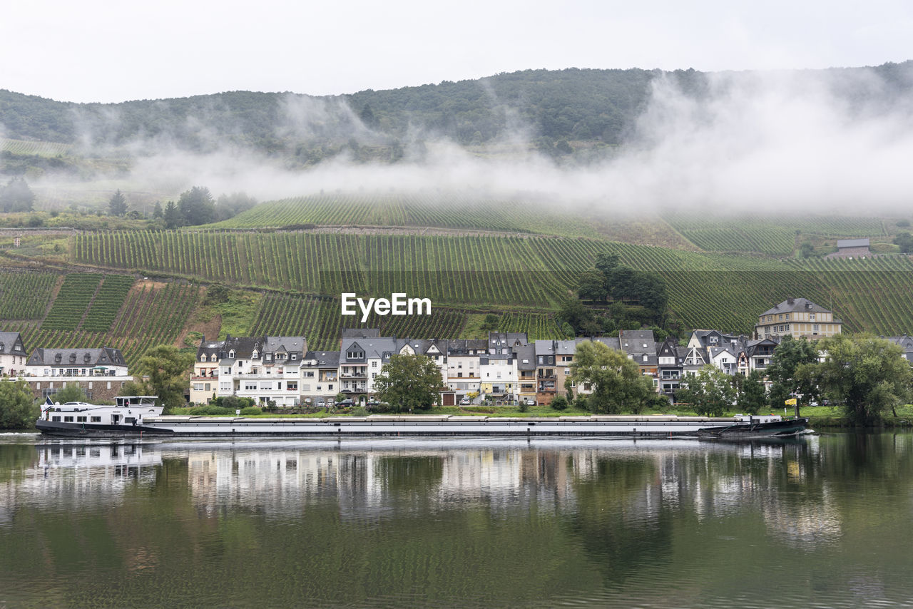 Frachtschiff auf der mosel bei zell, rheinland-pfalz, deutschland