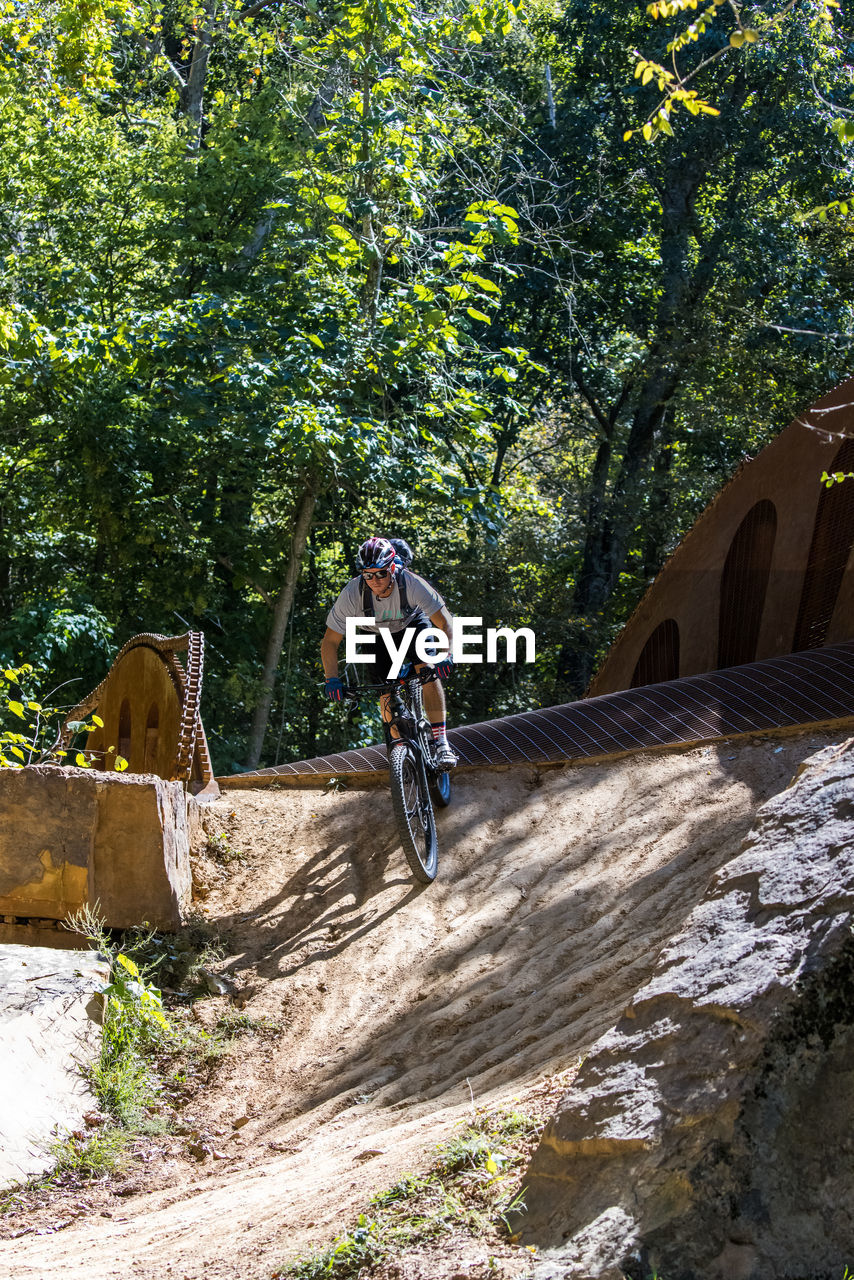 MAN RIDING BICYCLE ON TREE