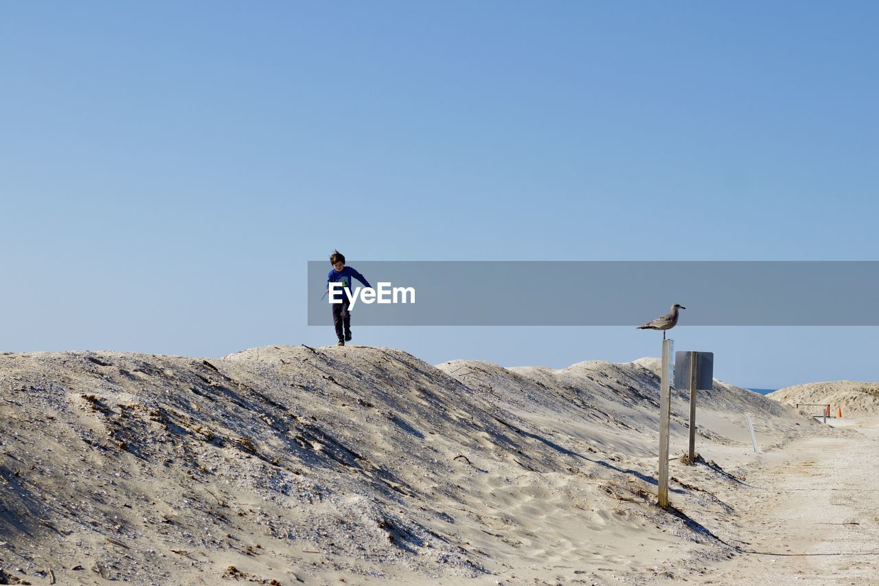 Low angle view of boy standing on dune against clear blue sky