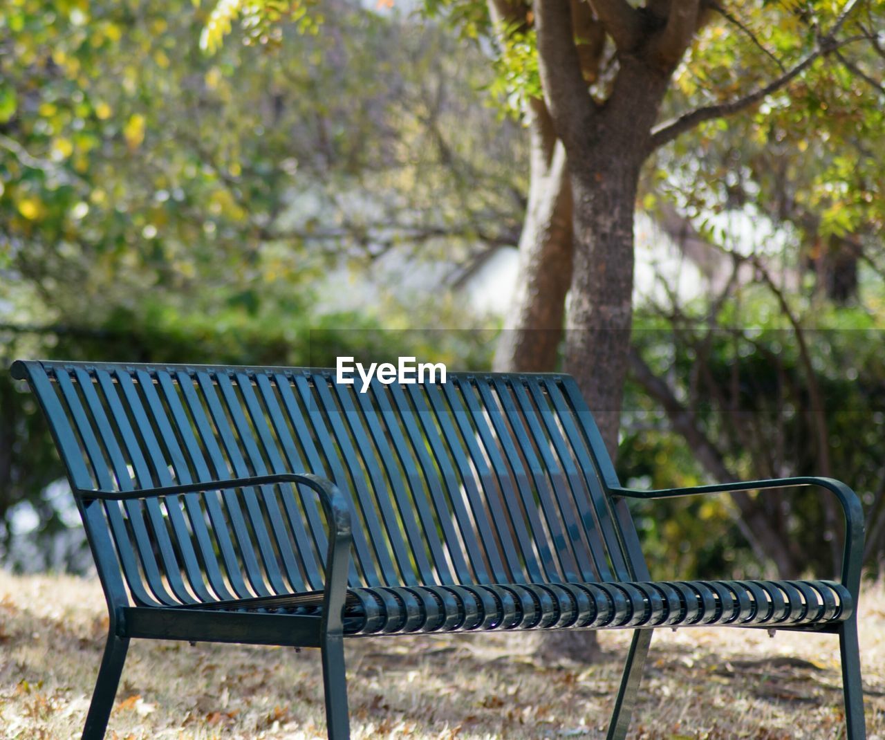 EMPTY CHAIR AND TABLE IN PARK