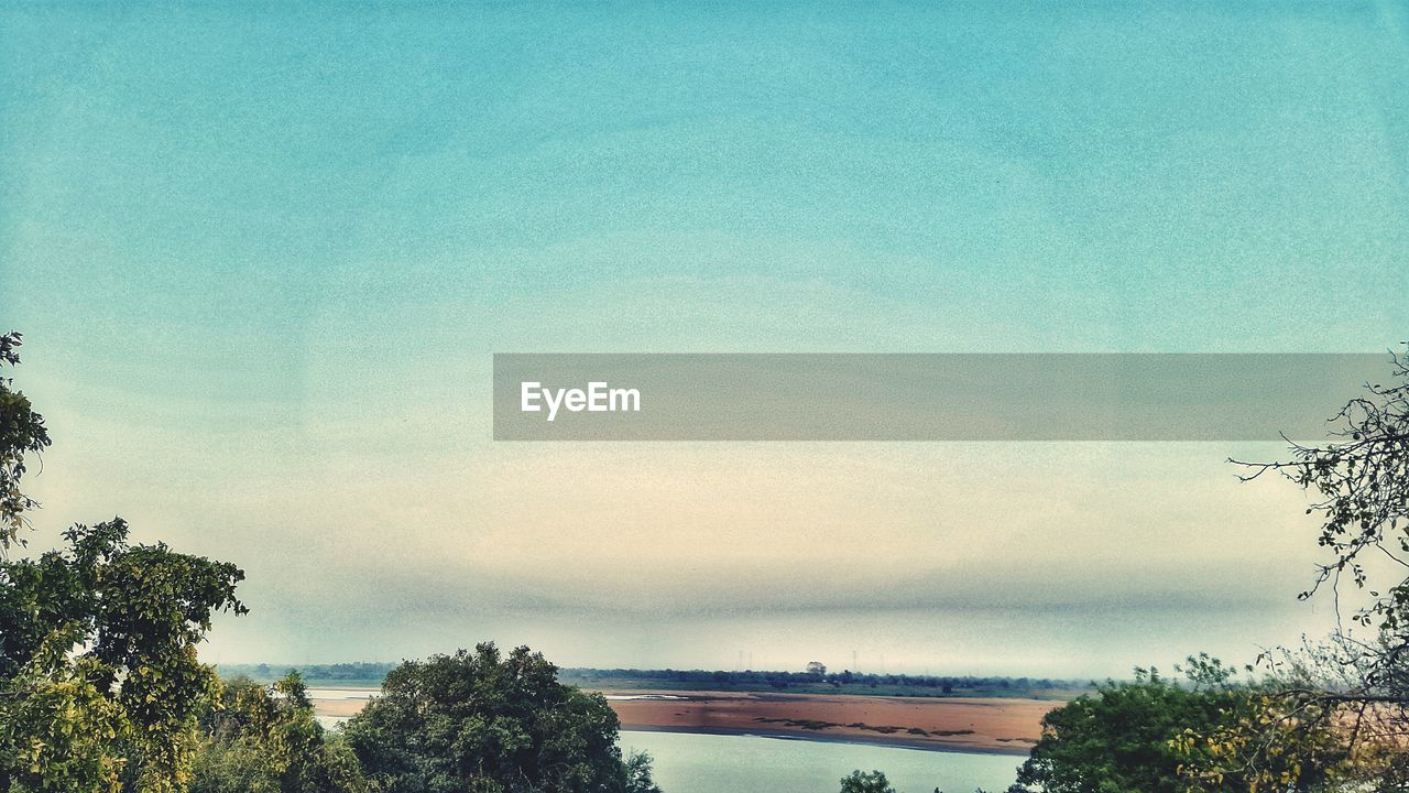 Trees against sky