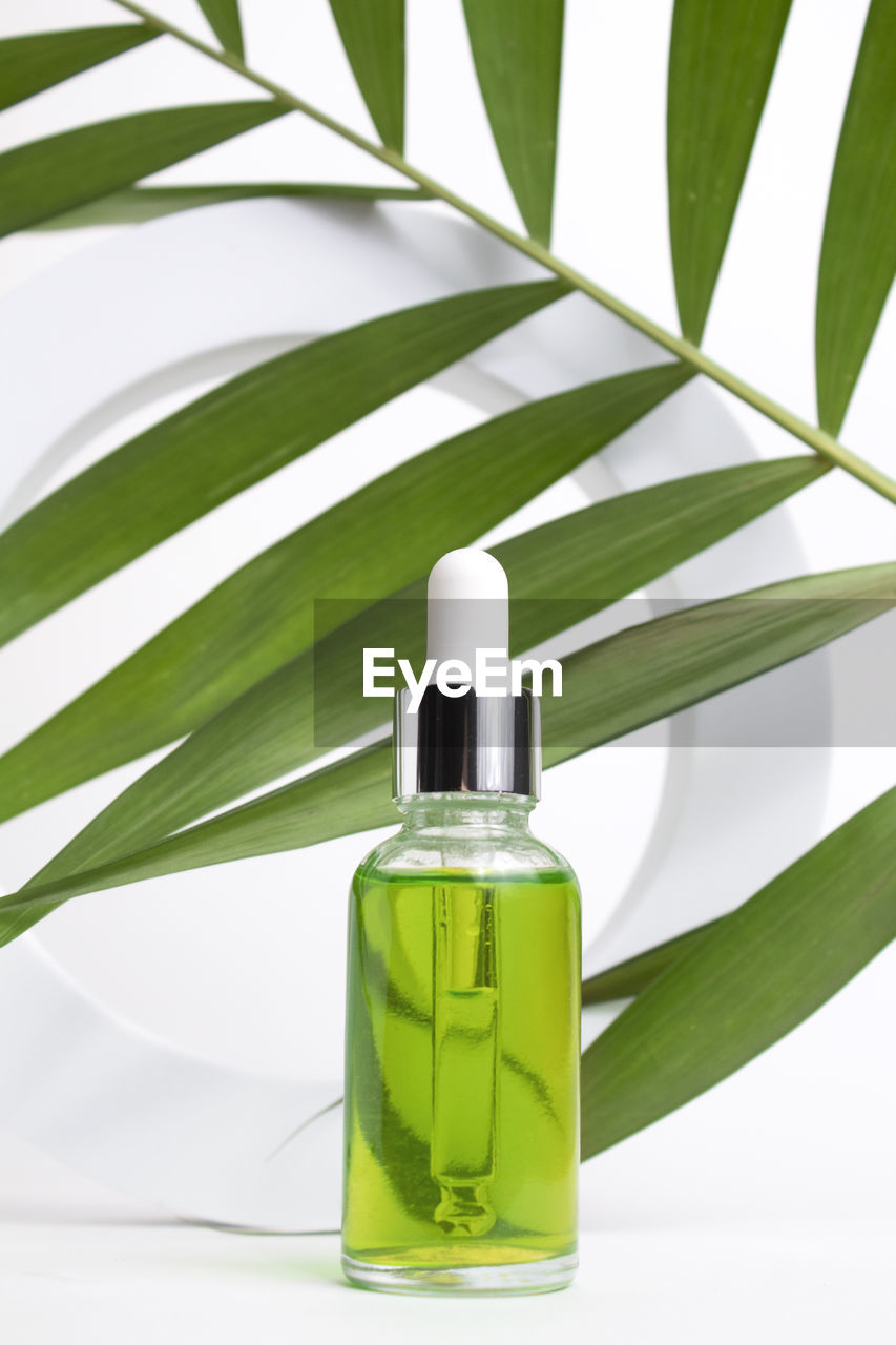 Glass dropper bottle on white background with leaves. cosmetic container mock-ups.