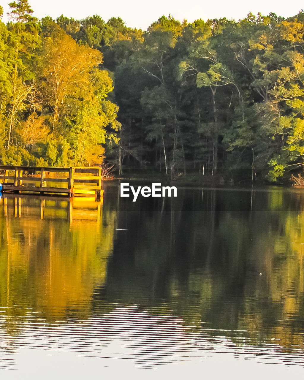 SCENIC VIEW OF LAKE AGAINST TREES