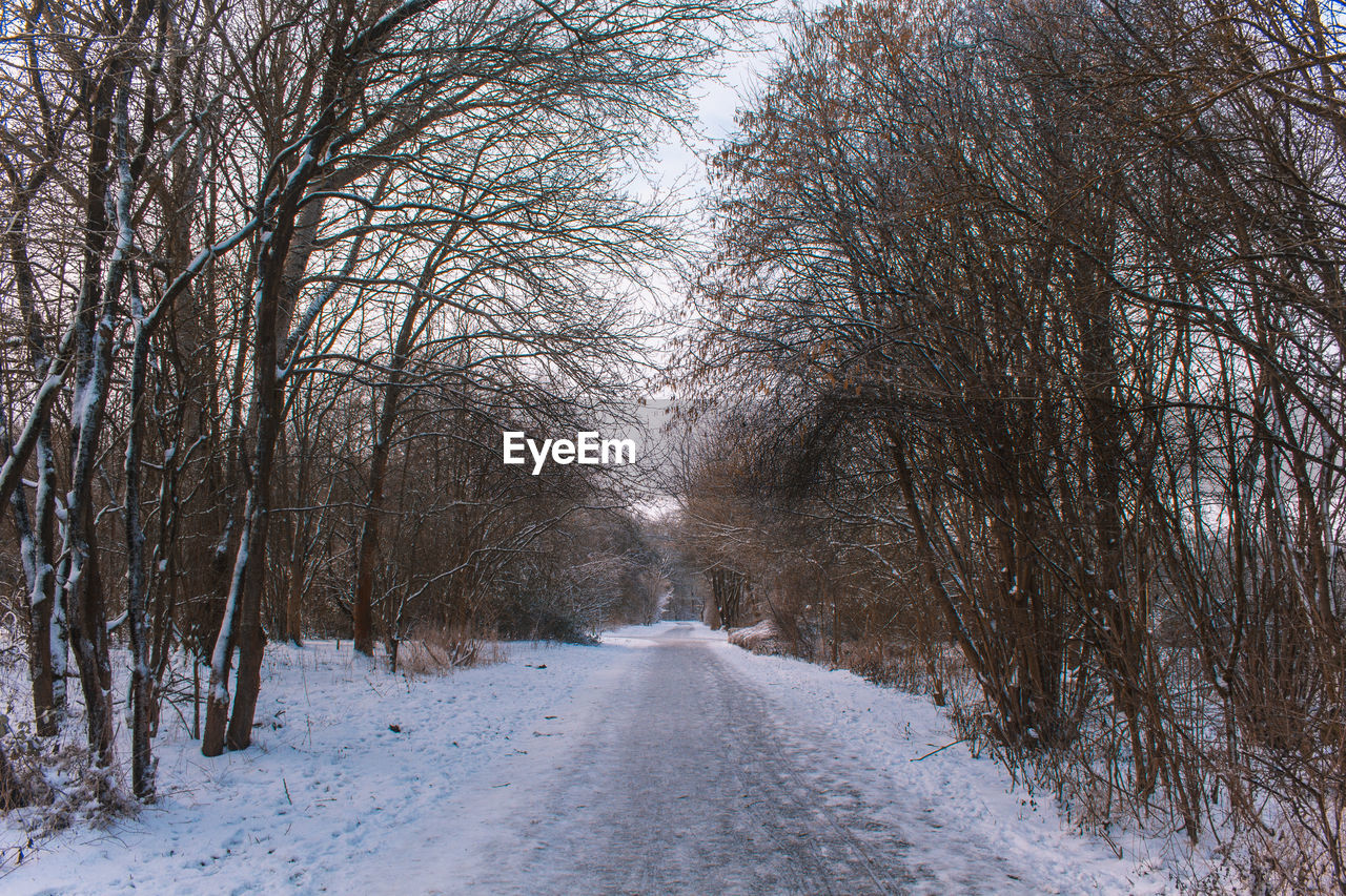SNOW COVERED ROAD AMIDST TREES