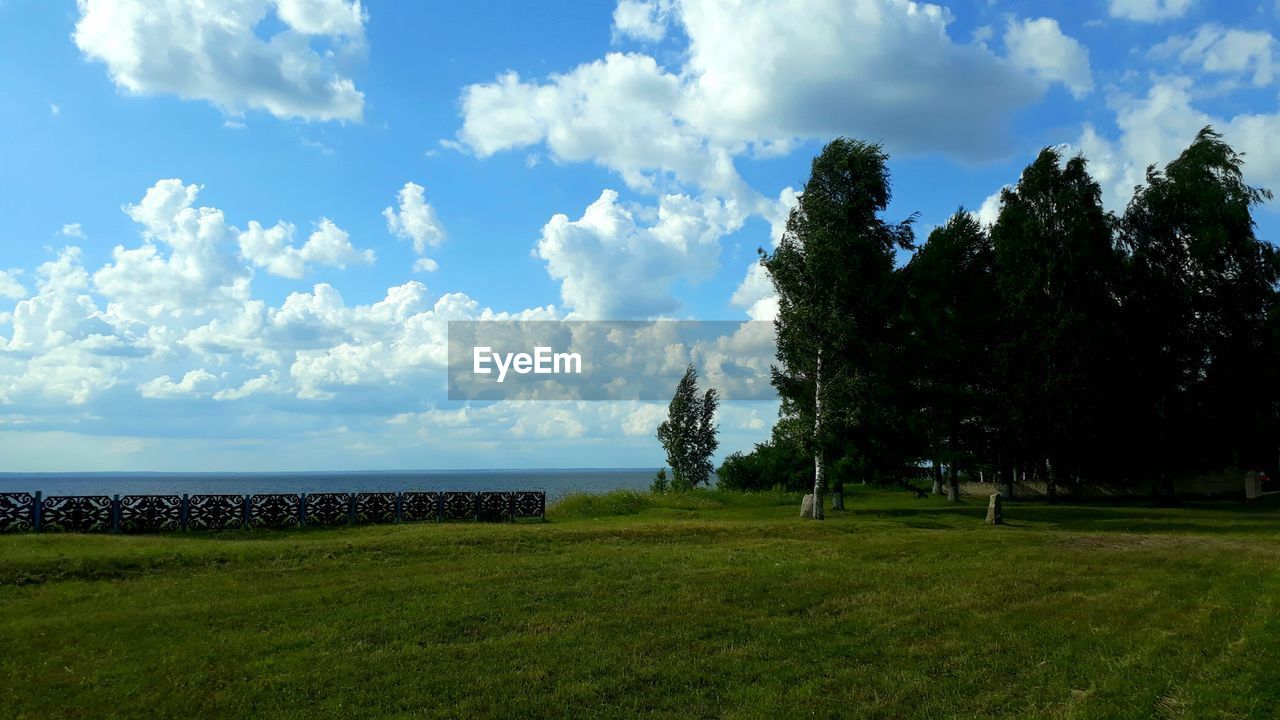 Trees on field against sky