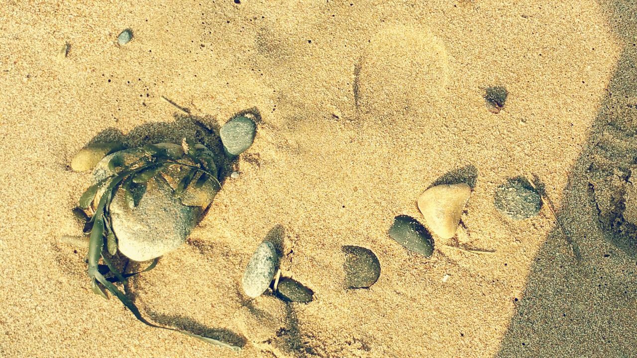 Stones in sand
