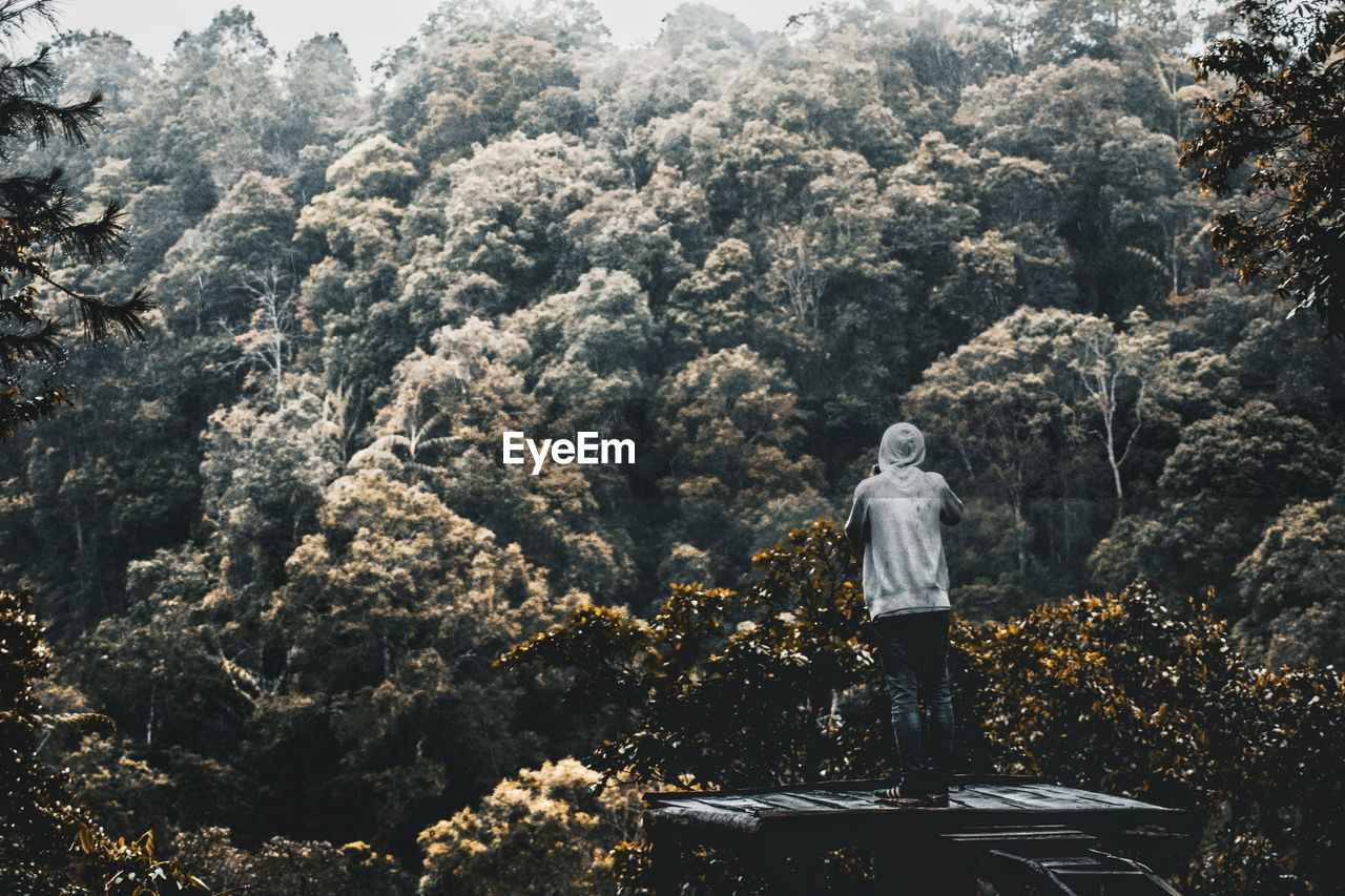 REAR VIEW OF MAN STANDING BY ROCKS AGAINST TREES